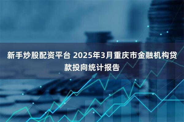 新手炒股配资平台 2025年3月重庆市金融机构贷款投向统计报告