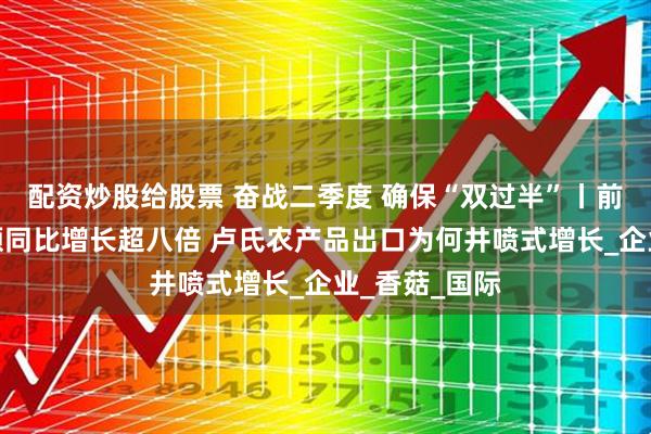 配资炒股给股票 奋战二季度 确保“双过半”丨前四个月出口额同比增长超八倍 卢氏农产品出口为何井喷式增长_企业_香菇_国际