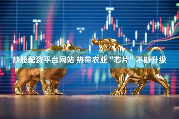 炒股配资平台网站 热带农业“芯片”不断升级